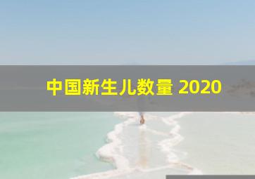 中国新生儿数量 2020